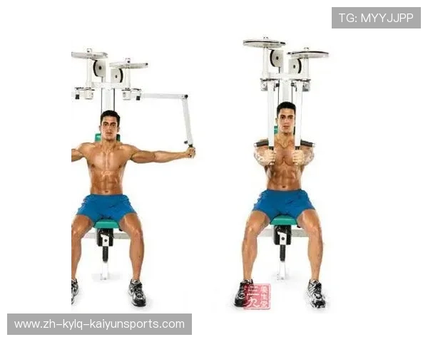 飞鸟健身器材应用及滑轮系统优势解析