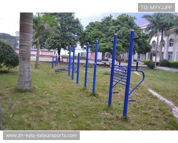 各大健身器材主要用途及功能解析