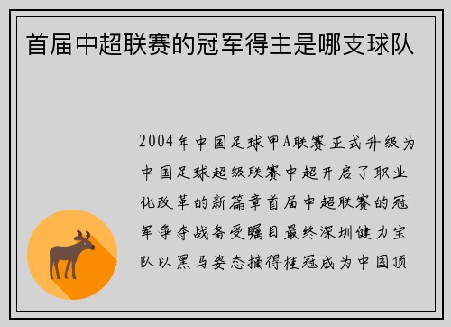 首届中超联赛的冠军得主是哪支球队